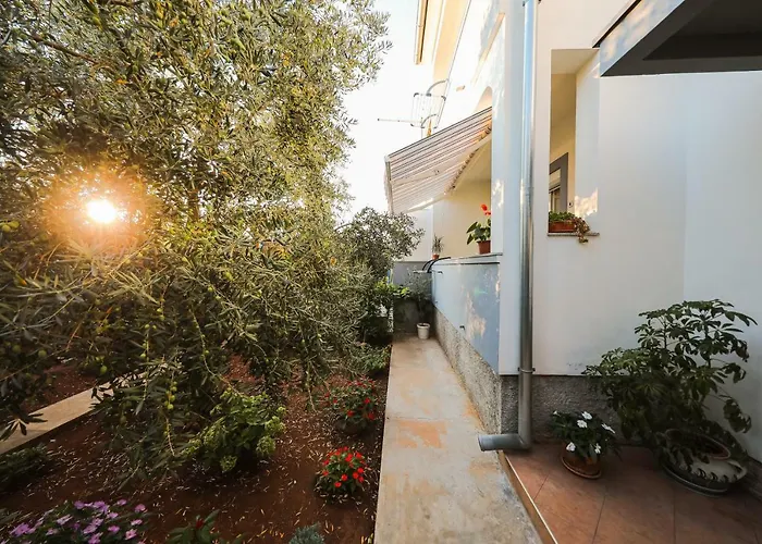 Antisin Apartament *
