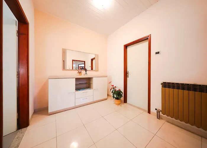 Antisin * זאדאר